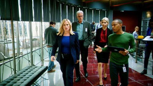 CSI: Cyber Season 2 Episode 10 - Shades of Grey