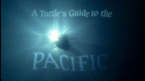 Natural World Season 27 Episode 16 - A Turtle's Guide to the Pacific