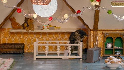 Poesjes Season 2 Episode 13 - Episode 13