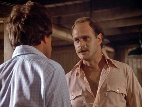 The Incredible Hulk Season 1 Episode 2 - The Return of the Incredible Hulk