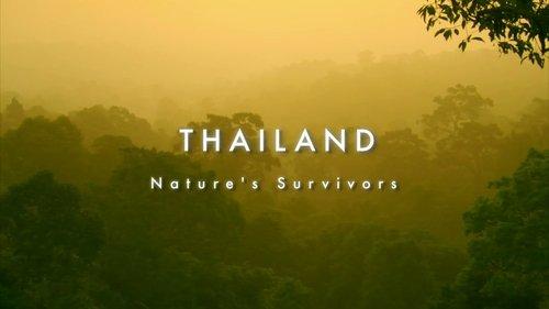 Wildest Indochina Season 1 Episode 2 - Thailand - Nature's Survivors