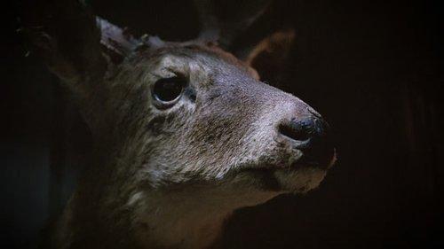 The UnBelievable with Dan Aykroyd Season 2 Episode 9 - Odd Jobs