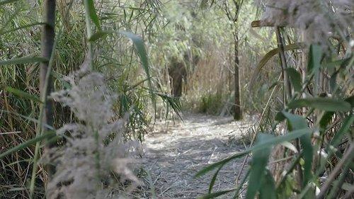 Under the Power Season 1 Episode 15 - Episode 15