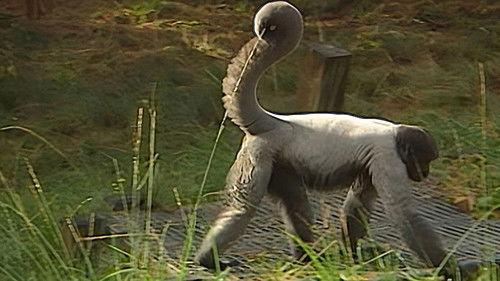 Monkey Business Season 5 Episode 10 - Episode 10