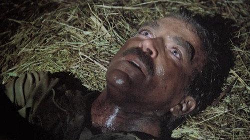 Magnum, P.I. Season 7 Episode 16 - Solo Flight