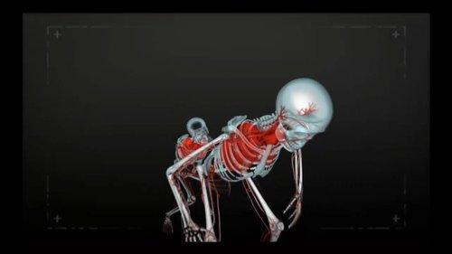 1000 Ways to Die Season 3 Episode 28 - Wait, Don't Tell Me – You’re Dead!