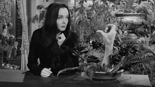 Background image for Green-Eyed Gomez