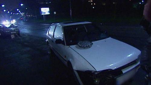 Toto & Harry Season 1 Episode 5 - Episode 5