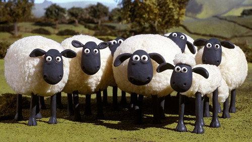 Shaun the Sheep Season 1 Episode 19 - Buzz off Bees