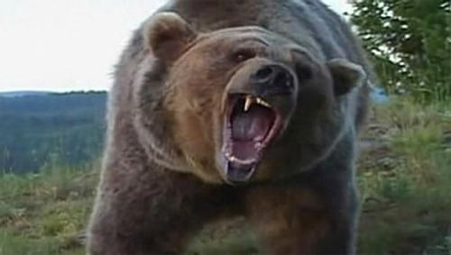 MonsterQuest Season 2 Episode 15 - Giant Bear Attack