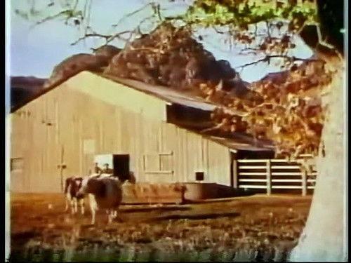 Background image for The Accident