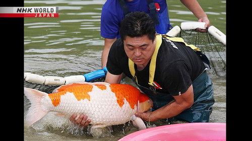 FRONTRUNNERS Season 4 Episode 7 - Koi Masters – Mano Futoshi & Mano Shigeru