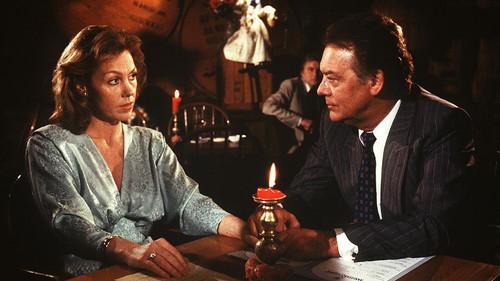 Die Schwarzwaldklinik Season 2 Episode 17 - Episode 17