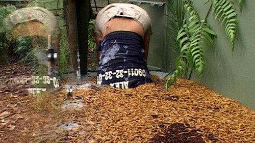 I'm a Celebrity...Get Me Out of Here! Season 3 Episode 9 - Tunnel of Terror