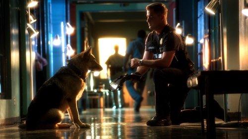 undefined Season 13 Episode 5 - Play Dead