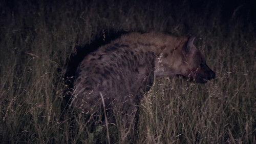 Africa's Deadliest Season 5 Episode 1 - Lethal Strike