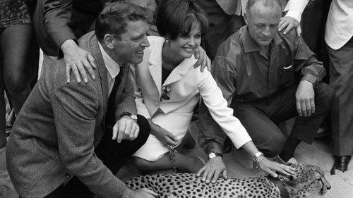 Reflets de Cannes Season 1 Episode 19 - Episode 19