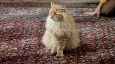 Designing Women Season 3 Episode 10 - Mr. Bailey