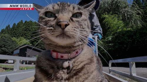 A Cat's-Eye View of Japan Season 4 Episode 8 - Akita: Good Manners Even Between Friends