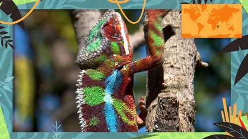 Kukurota Season 4 Episode 16 - Episode 16