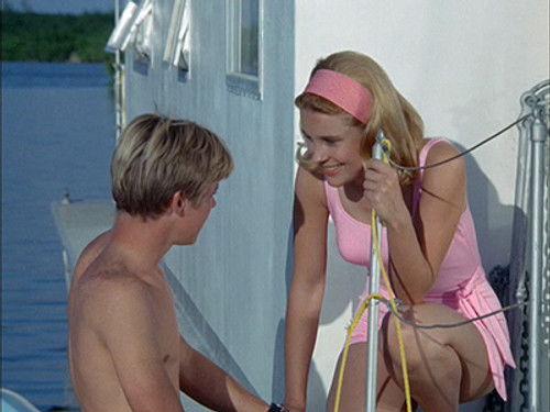 Flipper Season 1 Episode 19 - Love and Sandy