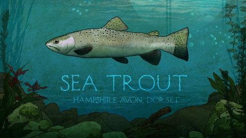 Mortimer & Whitehouse: Gone Fishing Season 1 Episode 5 - Sea Trout in Dorset