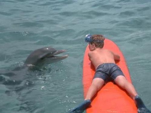 Flipper Season 1 Episode 4 - The Gulf Between