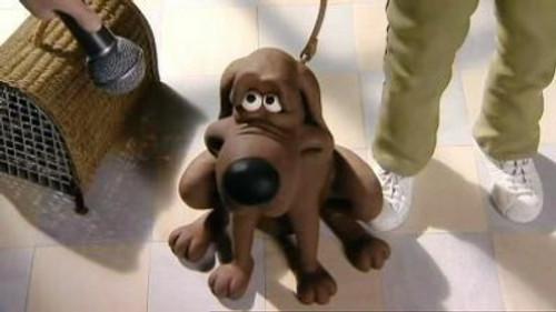 Creature Comforts Season 1 Episode 2 - Pets at the Vets