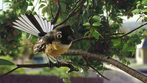 Bird's Eye View Season 1 Episode 5 - Spread the Love