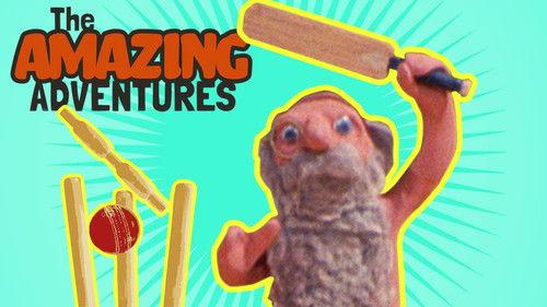 Background image for Anyone for Cricket?