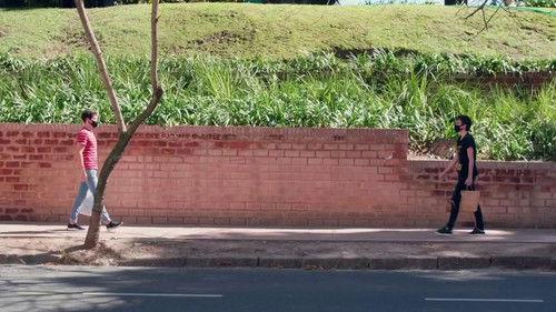 Mi amigo hormiga Season 1 Episode 1 - Episode 1