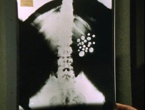 undefined Season 5 Episode 19 - The £50,000 Breakfast