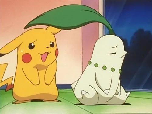 Pokémon Season 3 Episode 20 - Chikorita's Big Upset