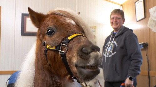 The Incredible Dr. Pol Season 14 Episode 2 - Something Pol, Something New