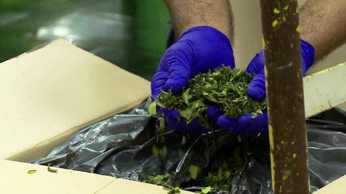 Airport 24/7: Miami Season 2 Episode 2 - Signs of Danger