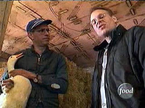 Good Eats Season 3 Episode 4 - What's Up, Duck?
