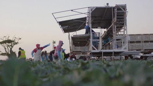 Frontline Season 39 Episode 1 - COVID's Hidden Toll