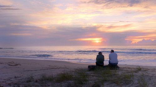 Background image for G’day Parks Tiona – Pacific Palms