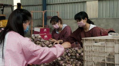 Rotten Season 1 Episode 3 - Garlic Breath