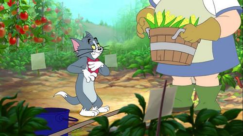 Tom and Jerry Tales Season 2 Episode 19 - Summer Squashing