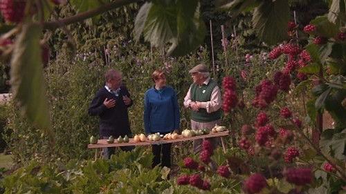 The Beechgrove Garden Season 36 Episode 18 - Episode 18