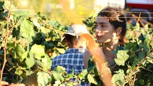 Background image for Los Rivales (Rivals)