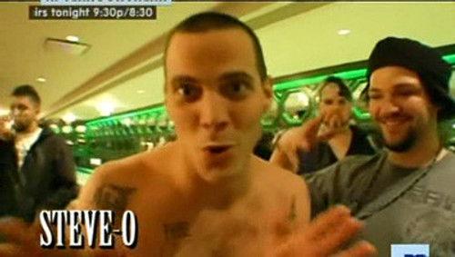 Background image for Bam's Gone Wild