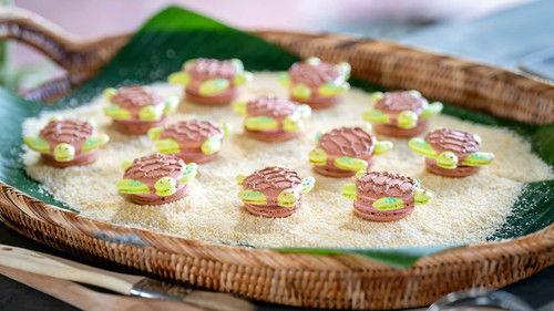 The Great Australian Bake Off Season 9 Episode 2 - Biscuit Week