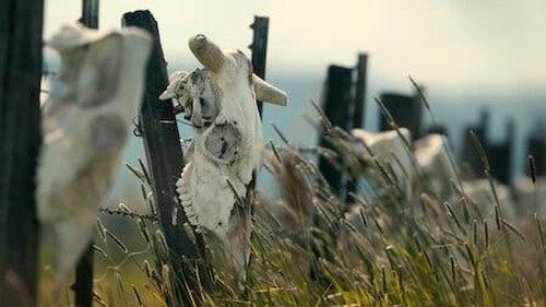 Unsolved Mysteries Season 3 Episode 8 - Mysterious Mutilations