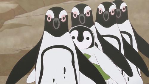 Welcome, Chitose-chan Season 1 Episode 10 - Episode 10