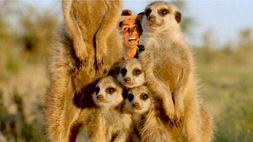 Andy's Wild Adventures Season 1 Episode 4 - Meerkats