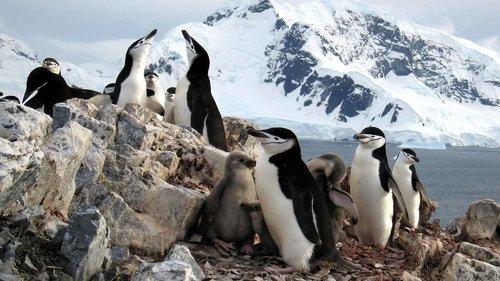 undefined Season 1 Episode 6 - Ice Worlds