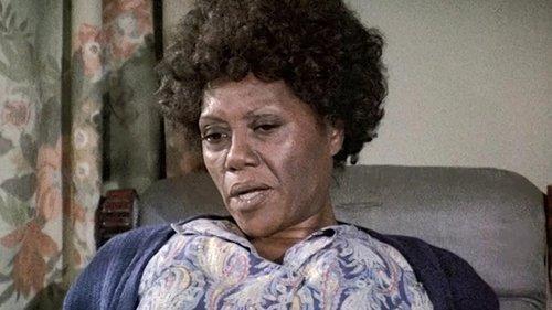 undefined Season 1 Episode 2 - Texas Longhorn