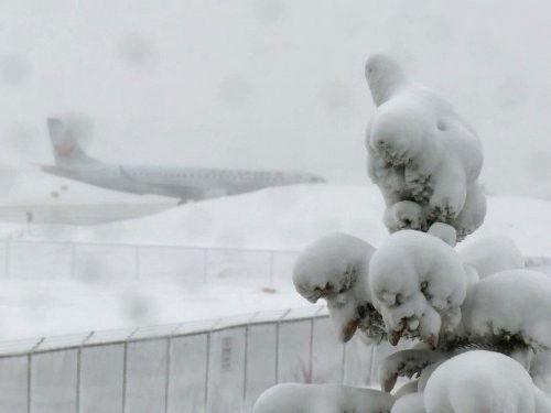 The Aviators Season 3 Episode 3 - Black Diamond Jet Team